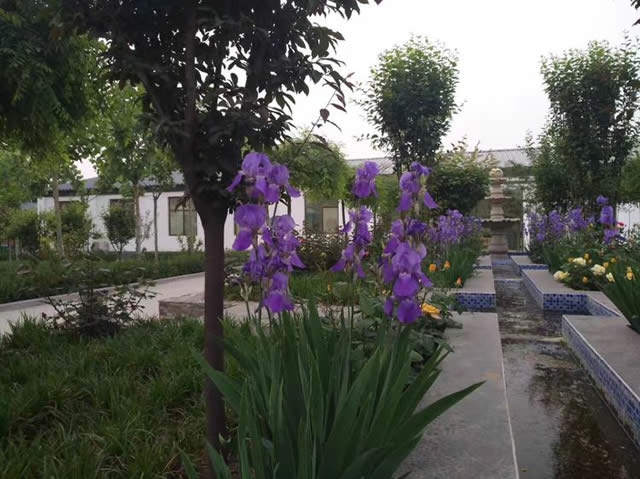 多軌道智能交通沙盤